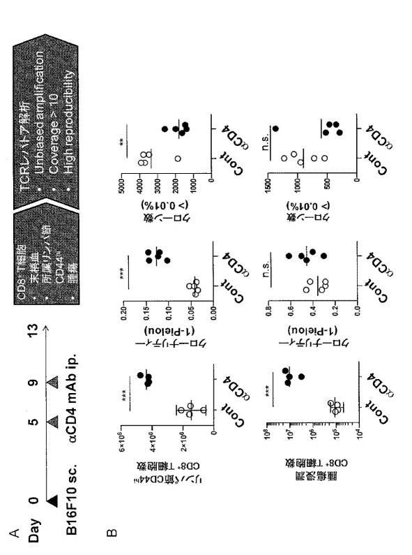 WO2019189383-腫瘍浸潤Ｔ細胞受容体レパトアの解析方法および該解析方法を用いたがん治療処置の有効性の判定方法 図000009