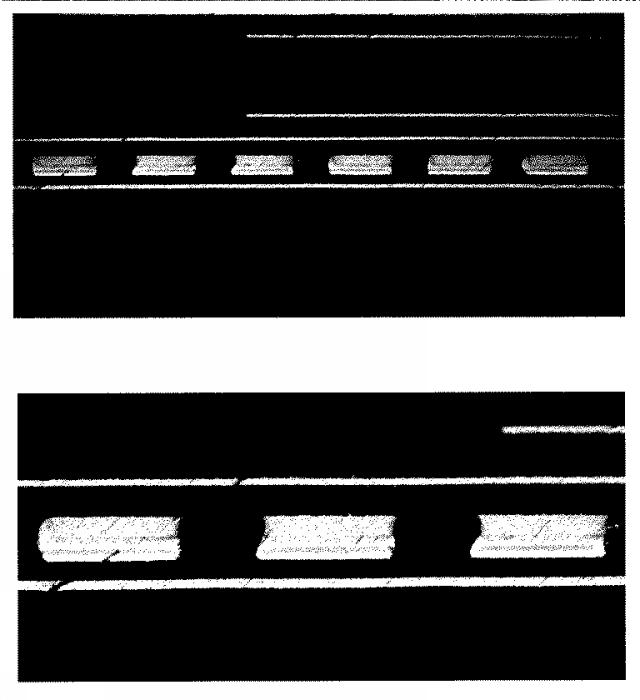 WO2015133343-導電ペースト、接続構造体及び接続構造体の製造方法 図000010