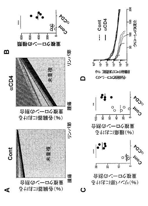 WO2019189383-腫瘍浸潤Ｔ細胞受容体レパトアの解析方法および該解析方法を用いたがん治療処置の有効性の判定方法 図000010