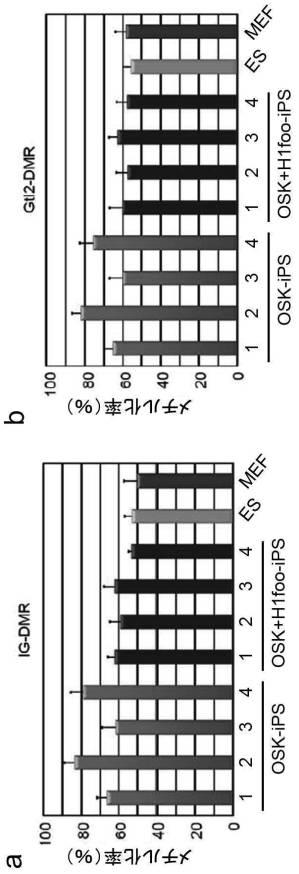 WO2017010080-高品質なｉＰＳ細胞の製造方法 図000011