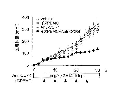 WO2018211936-ＣＣＲ４阻害による制御性Ｔ細胞浸潤抑制法およびイヌの腫瘍性疾患の治療法 図000011