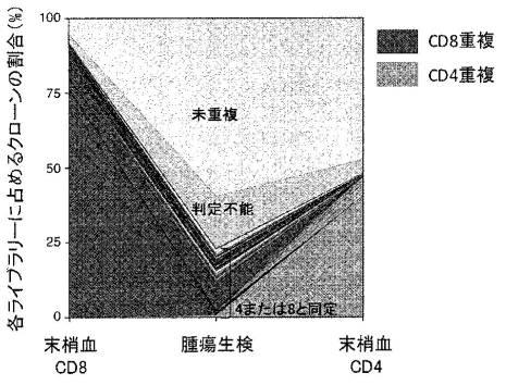 WO2019189383-腫瘍浸潤Ｔ細胞受容体レパトアの解析方法および該解析方法を用いたがん治療処置の有効性の判定方法 図000011