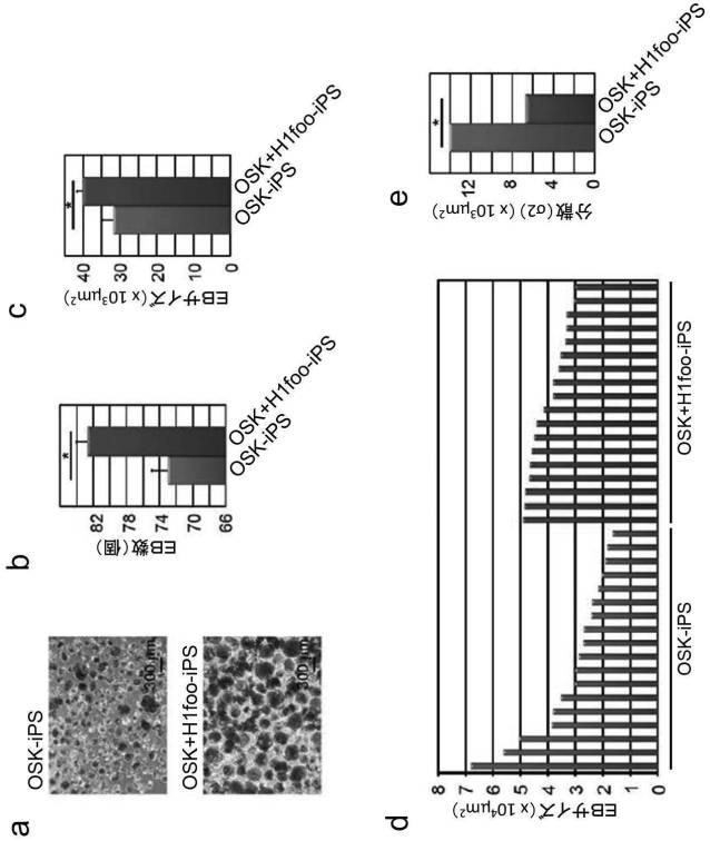 WO2017010080-高品質なｉＰＳ細胞の製造方法 図000012