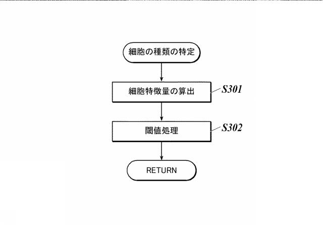 WO2018143406-画像処理装置及びプログラム 図000012