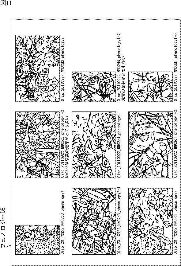 WO2016039174-情報処理装置、情報処理方法、及び、プログラム 図000013