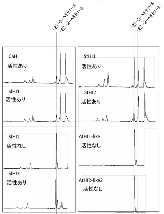 WO2016080549-（Ｚ）−３：（Ｅ）−２−ヘキセナールイソメラーゼ 図000013