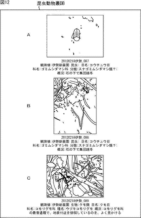 WO2016039174-情報処理装置、情報処理方法、及び、プログラム 図000014