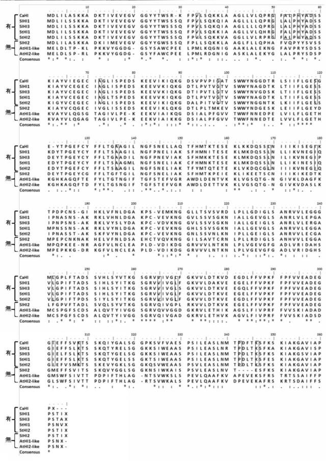 WO2016080549-（Ｚ）−３：（Ｅ）−２−ヘキセナールイソメラーゼ 図000014