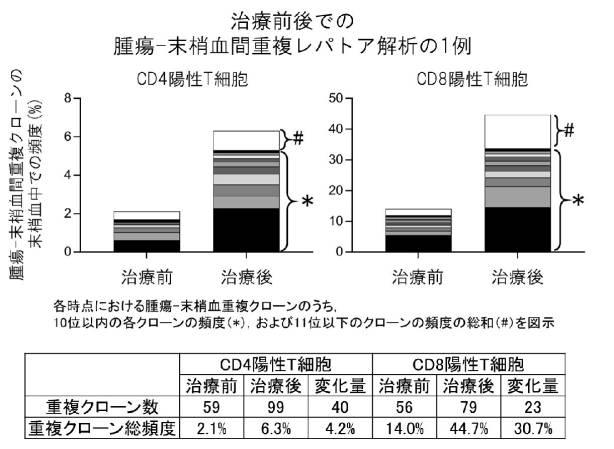 WO2019189383-腫瘍浸潤Ｔ細胞受容体レパトアの解析方法および該解析方法を用いたがん治療処置の有効性の判定方法 図000014