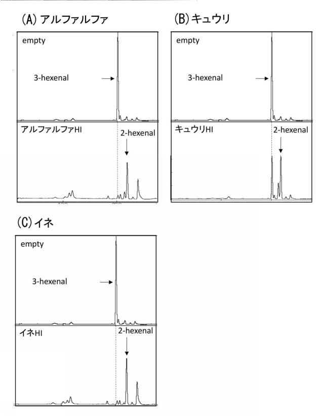 WO2016080549-（Ｚ）−３：（Ｅ）−２−ヘキセナールイソメラーゼ 図000016