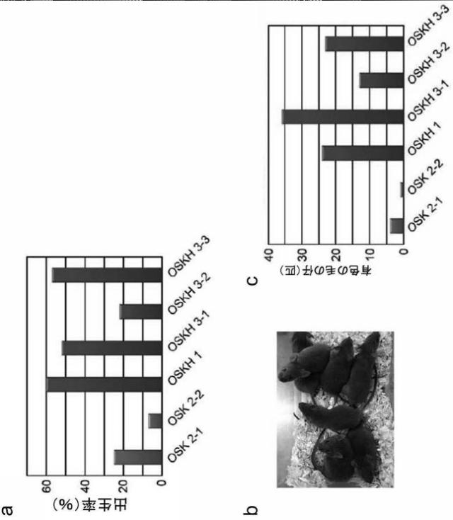 WO2017010080-高品質なｉＰＳ細胞の製造方法 図000016