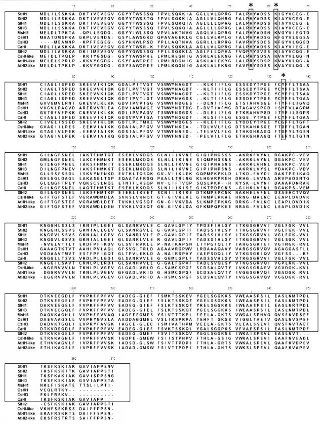 WO2016080549-（Ｚ）−３：（Ｅ）−２−ヘキセナールイソメラーゼ 図000017