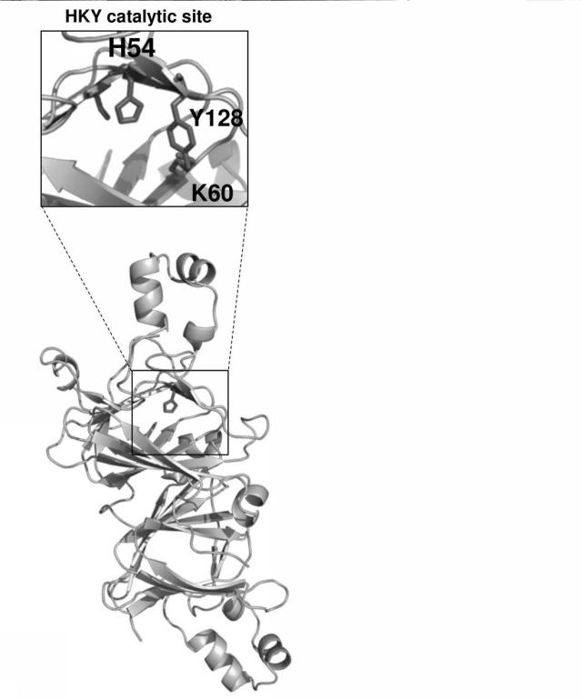 WO2016080549-（Ｚ）−３：（Ｅ）−２−ヘキセナールイソメラーゼ 図000018