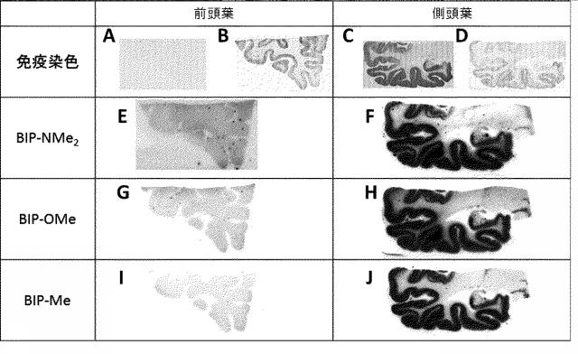 WO2017029820-放射性ハロゲン標識ピリド［１，２−ａ］ベンゾイミダゾール誘導体化合物 図000018