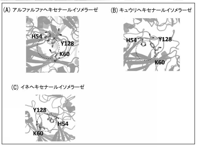 WO2016080549-（Ｚ）−３：（Ｅ）−２−ヘキセナールイソメラーゼ 図000019