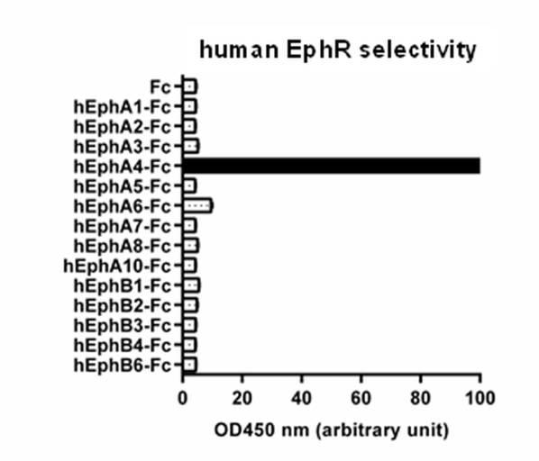 WO2017043466-抗ＥｐｈＡ４抗体 図000019