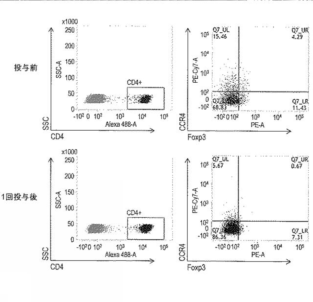 WO2018211936-ＣＣＲ４阻害による制御性Ｔ細胞浸潤抑制法およびイヌの腫瘍性疾患の治療法 図000019