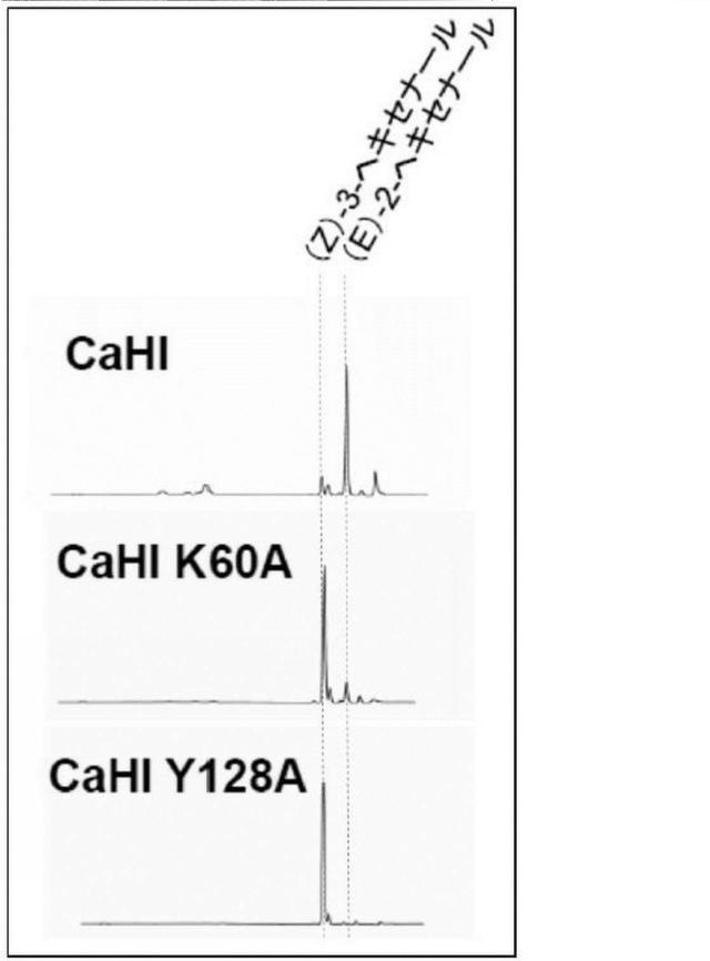 WO2016080549-（Ｚ）−３：（Ｅ）−２−ヘキセナールイソメラーゼ 図000020