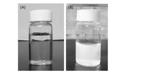 WO2018163955-組成物、その製造方法、および、その用途 図000020