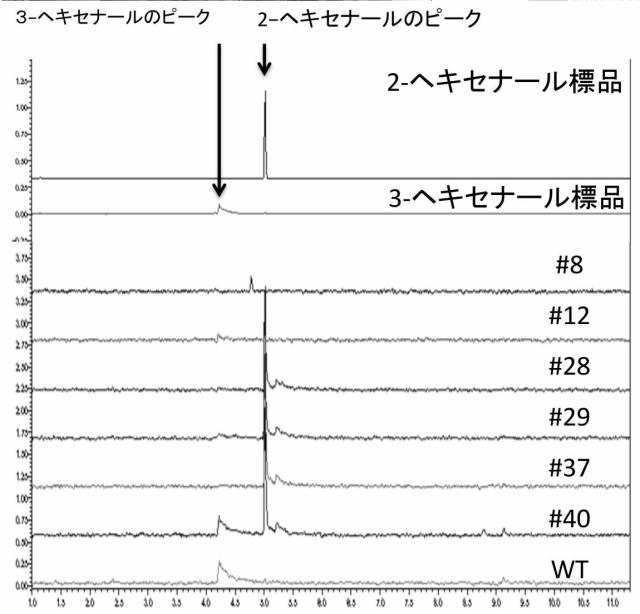 WO2016080549-（Ｚ）−３：（Ｅ）−２−ヘキセナールイソメラーゼ 図000021