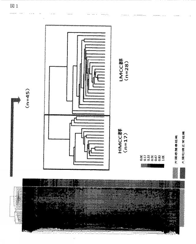 WO2016060278-大腸癌に対する薬物療法の感受性を予測する方法 図000022