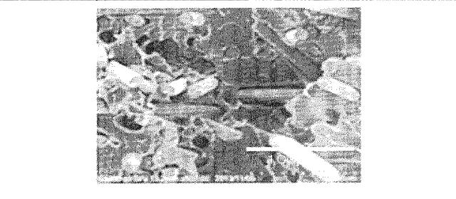 WO2017203716-樹脂組成物及びその成形体 図000022