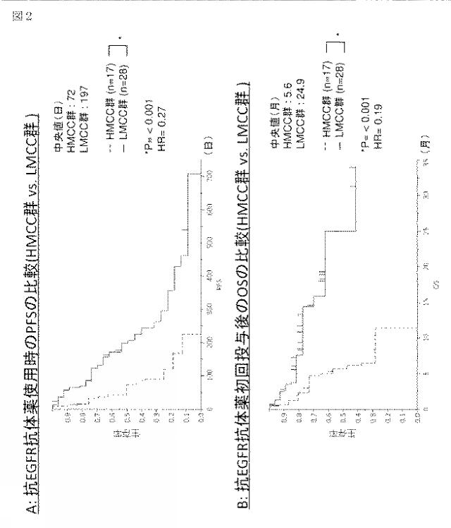 WO2016060278-大腸癌に対する薬物療法の感受性を予測する方法 図000023