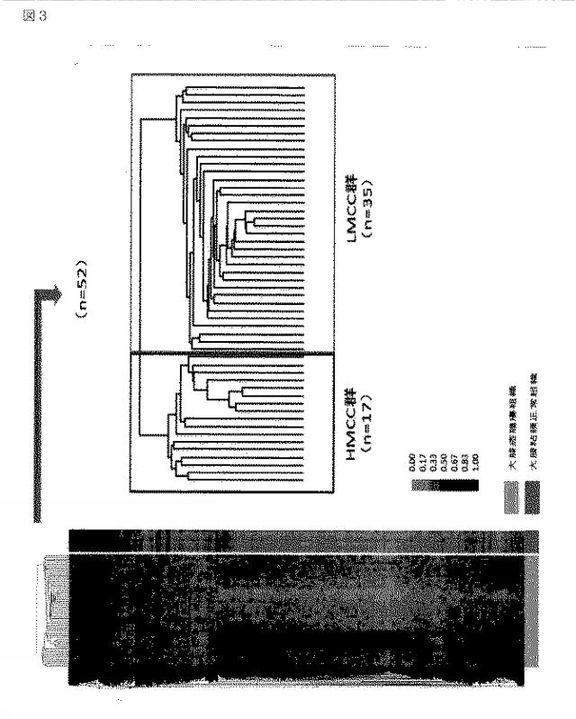 WO2016060278-大腸癌に対する薬物療法の感受性を予測する方法 図000024