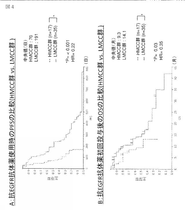 WO2016060278-大腸癌に対する薬物療法の感受性を予測する方法 図000025