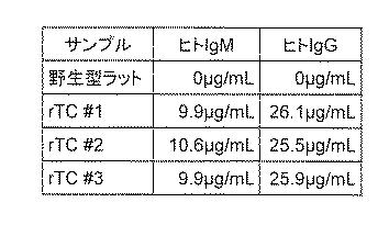 WO2018079857-ヒト抗体産生非ヒト動物及びそれを用いたヒト抗体作製法 図000030