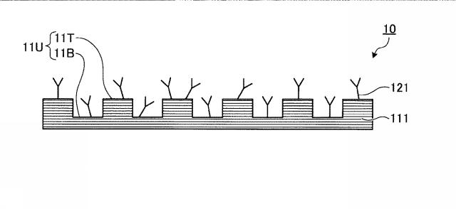 WO2017138494-分析プレート、分析方法、及び分析プレートの製造方法 図000031