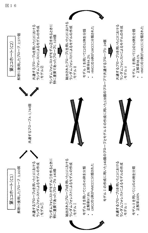 WO2016060278-大腸癌に対する薬物療法の感受性を予測する方法 図000037