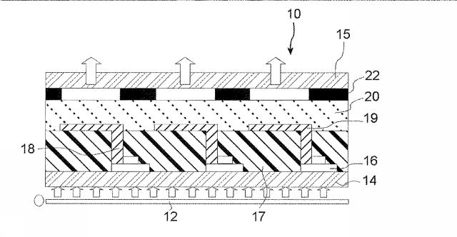 WO2013161861-感光性樹脂組成物、硬化膜の形成方法、硬化膜、有機ＥＬ表示装置、および、液晶表示装置 図000044