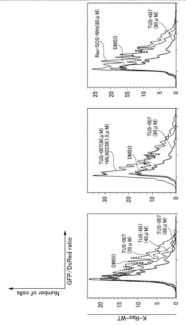 WO2018092724-分子動態評価方法及びスクリーニング方法 図000097