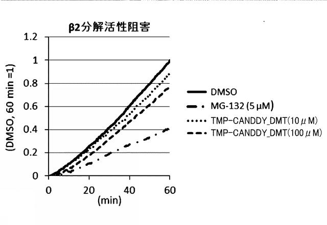 WO2018092724-分子動態評価方法及びスクリーニング方法 図000102