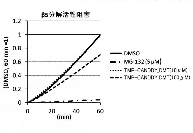 WO2018092724-分子動態評価方法及びスクリーニング方法 図000103