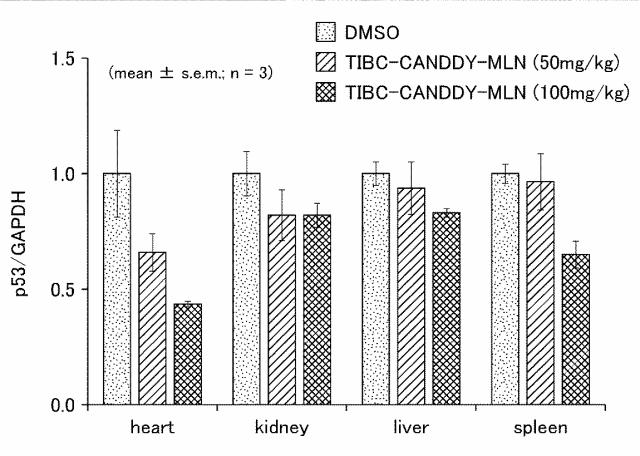 WO2018092724-分子動態評価方法及びスクリーニング方法 図000112
