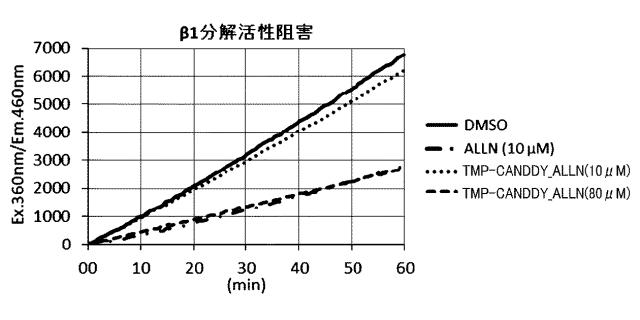 WO2018092724-分子動態評価方法及びスクリーニング方法 図000114