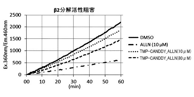 WO2018092724-分子動態評価方法及びスクリーニング方法 図000115