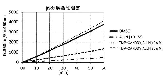 WO2018092724-分子動態評価方法及びスクリーニング方法 図000116