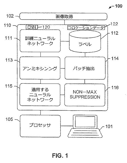 2017516992-画像内の生物学的構造及び／又はパターンの検出のためのシステム及び方法 図000003