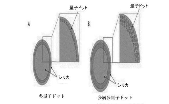 2021508371-多量子ドットに基づく生体分子高感度検出方法 図000003