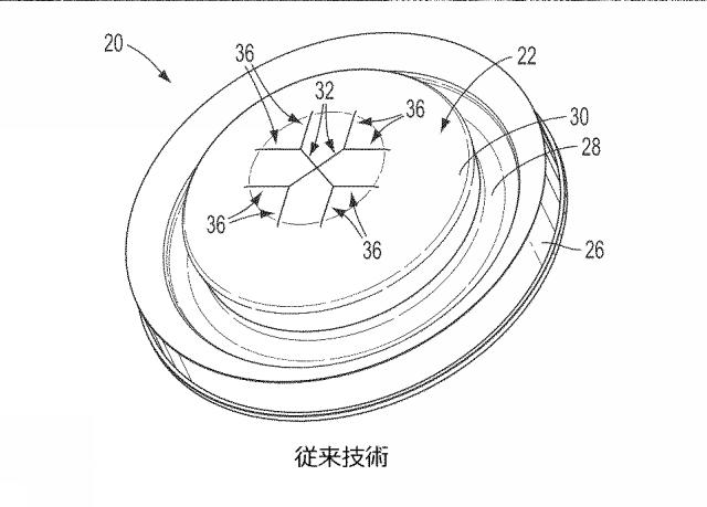 2021509386-弁 図000003