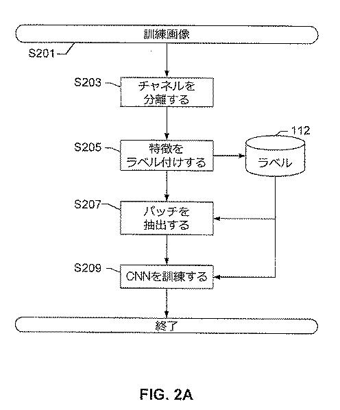 2017516992-画像内の生物学的構造及び／又はパターンの検出のためのシステム及び方法 図000004