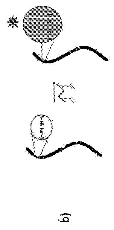 2021529154-損傷したケラチンの治療および／または予防のための方法 図000004