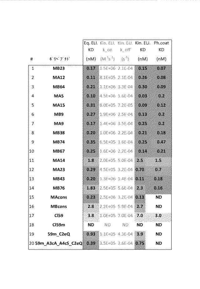 2016506361-ＩＬ−２３に特異的に結合するポリペプチド 図000005