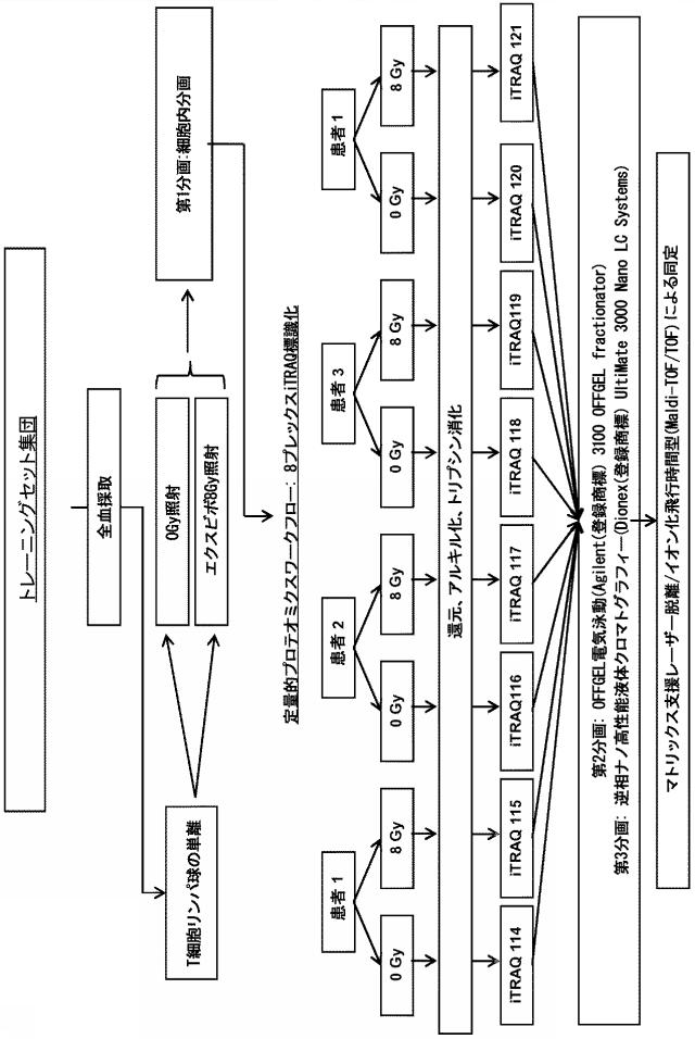 2016517956-放射線感受性を判定するための方法 図000005