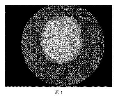 2020531680-機能性複合粒子及びその製造方法 図000005