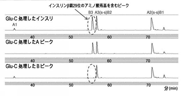 2016510004-インスリン位置特異的結合体 図000006