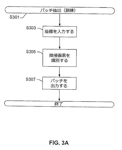 2017516992-画像内の生物学的構造及び／又はパターンの検出のためのシステム及び方法 図000006